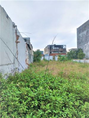 Image 7 - 265186