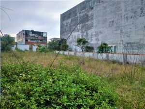 Image 11 - 265186