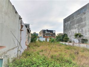 Image 4 - 265186