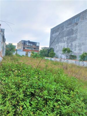 Image 9 - 265186