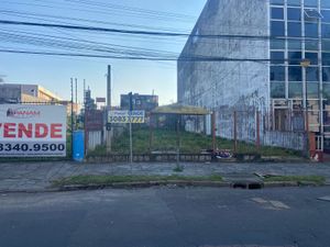 Image 13 - 265186