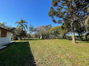 Image 8 - 265530