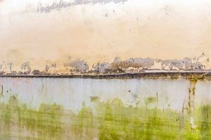 Image 20 - 265570