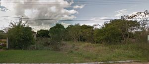 Image 3 - 265882