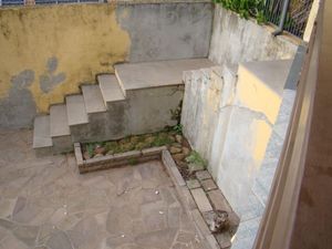 Image 28 - 265909