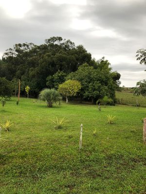 Image 5 - 265961