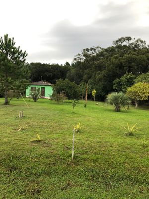 Image 8 - 265961
