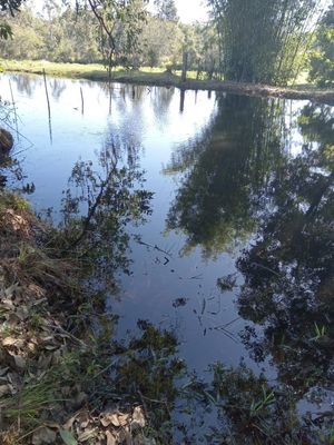 Image 1 - 265961