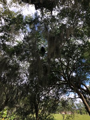 Image 7 - 265961