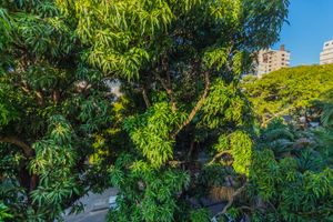 Image 13 - 266750