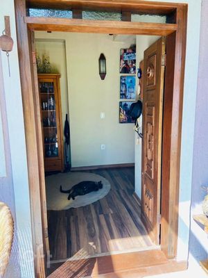Image 8 - 266780