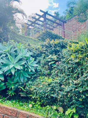 Image 82 - 266911