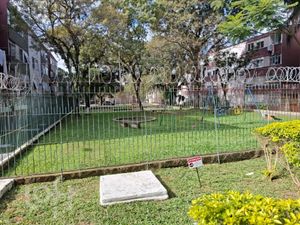 Image 16 - 266992