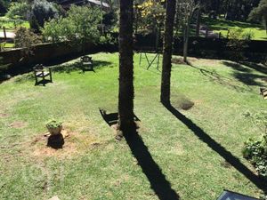 Image 20 - 267016