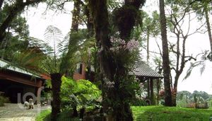 Image 8 - 267016