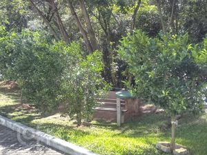 Image 17 - 267280