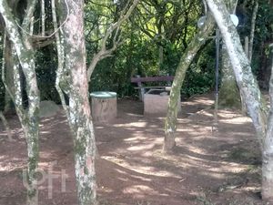 Image 14 - 267280