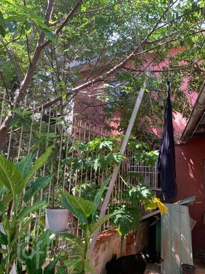 Image 11 - 268793