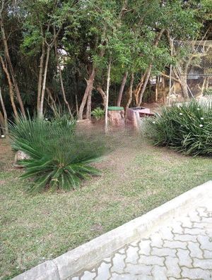 Image 19 - 269306