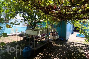 Image 23 - 269315