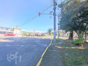 Image 5 - 269503