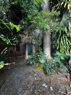 Image 7 - 271490