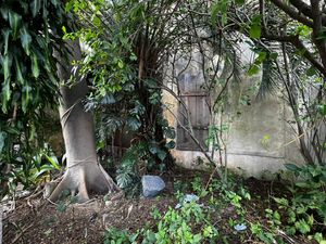 Image 10 - 271490