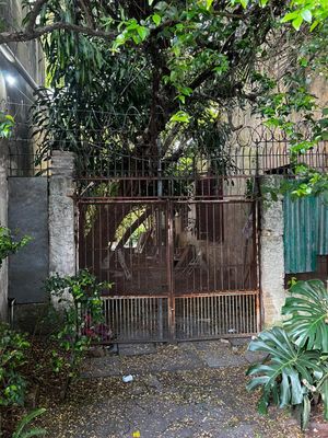 Image 8 - 271490