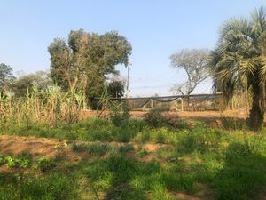 Image 9 - 271502