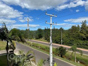 Image 23 - 271529