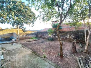 Image 35 - 271891