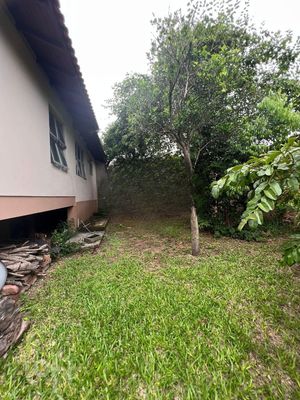 Image 4 - 271936