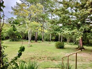Image 32 - 272057