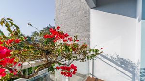 Image 30 - 272360