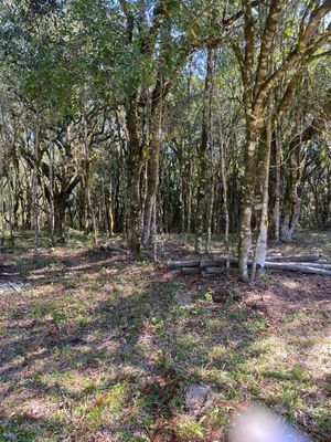 Image 17 - 272491