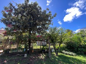 Image 1 - 272650