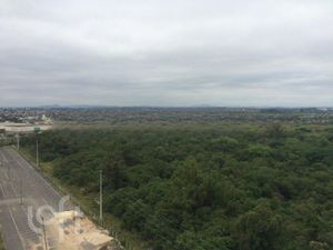 Image 15 - 272864