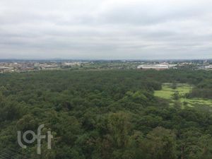 Image 3 - 272864