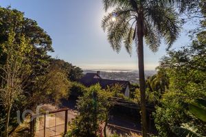 Image 31 - 273076