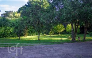 Image 21 - 273181