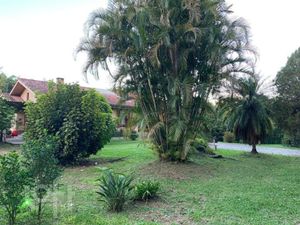 Image 22 - 273181