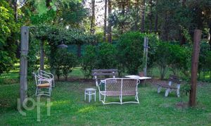 Image 17 - 273181