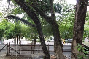 Image 12 - 273961