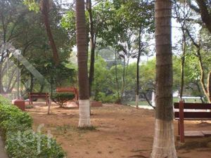 Image 11 - 274252