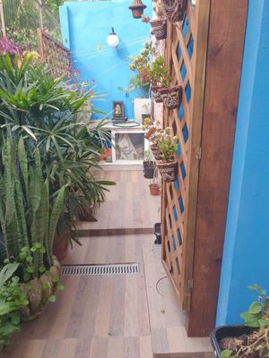 Image 10 - 274323