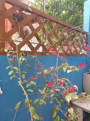 Image 15 - 274323