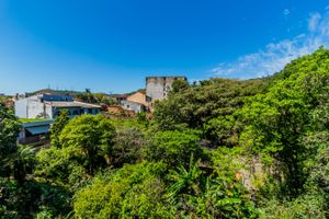 Image 4 - 274544
