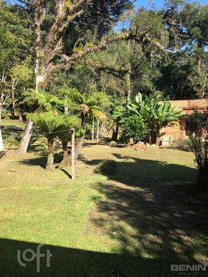 Image 13 - 274954