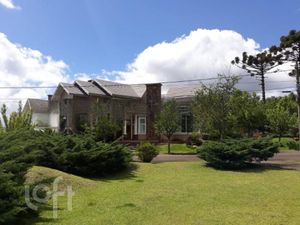 Image 31 - 275043
