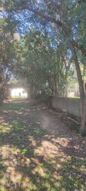 Image 11 - 275327